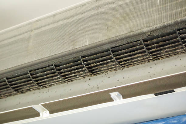 Best Affordable HVAC Duct Cleaning  in Crawford, GA